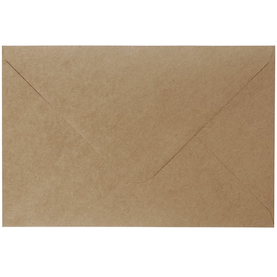 Kraft Paper Envelopes by Recollections™, 6" x 9"